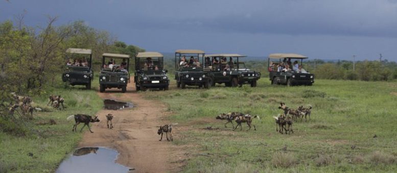 Ntsiri Private Game Reserve 125