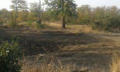 Mopani Dam 1