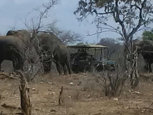 Prangleys and Ellies