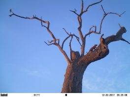 M2E64L204-204R382B323