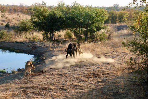 67163139_2384528798294623_3005167893793996800_n