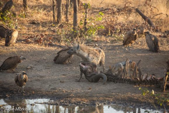 67223046_2379318548815648_1894724375953801216_n