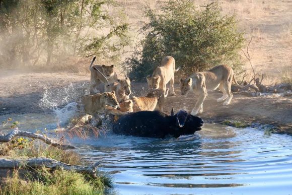 67314452_2384528911627945_4606561482493132800_n