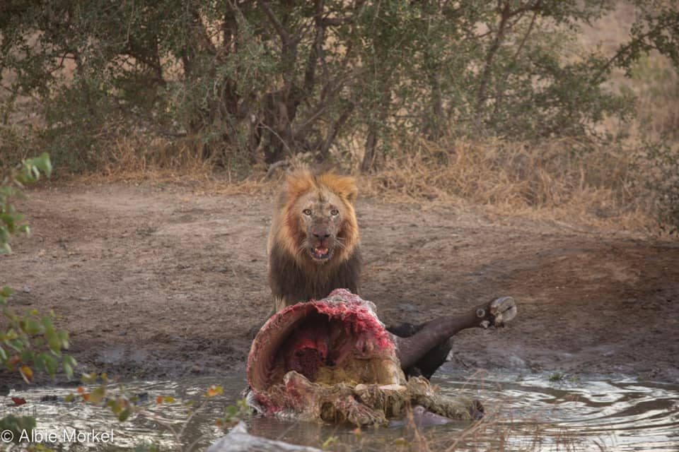 67403601_2379318372148999_1654724451016638464_n